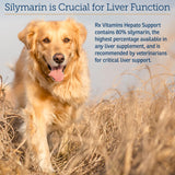 Rx Vitamins Hepato Support for Dogs & Cats - Liver Support Supplement with Milk Thistle - Boosts Liver Detox for Senior Pets - 90 ct