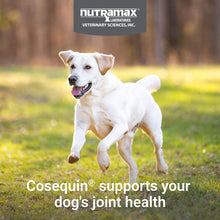 Load image into Gallery viewer, Nutramax Cosequin for Dogs Joint Health Supplement, Contains Glucosamine for Dogs, Plus Chondroitin, MSM and HA, Supports Healthy Joints, Chewable Tablets, 75 Count

