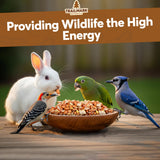 25 LB - Raw Shelled Peanuts for Squirrels, Out of Shell Peanuts for Birds and Wildlife- Squirrel Food, Wild Bird Seed - Grown in The USA