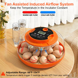 18 Egg Incubators for Hatching Eggs, Automatic Egg Turning and Humidity Control Incubator for Hatch Chicken Duck Quail Pigeon Pheasant Partridge Home Classroom Lab-