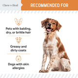 Wild Caught Omega 3 Fish Oil for Dogs - 180 Softgel Capsules for Healthy Skin and Coat - 300 mg Mini Dog Fish Oil Pills for Shedding, Dry Itching Skin, and Hot Spots - Pet Omega Salmon Supplement