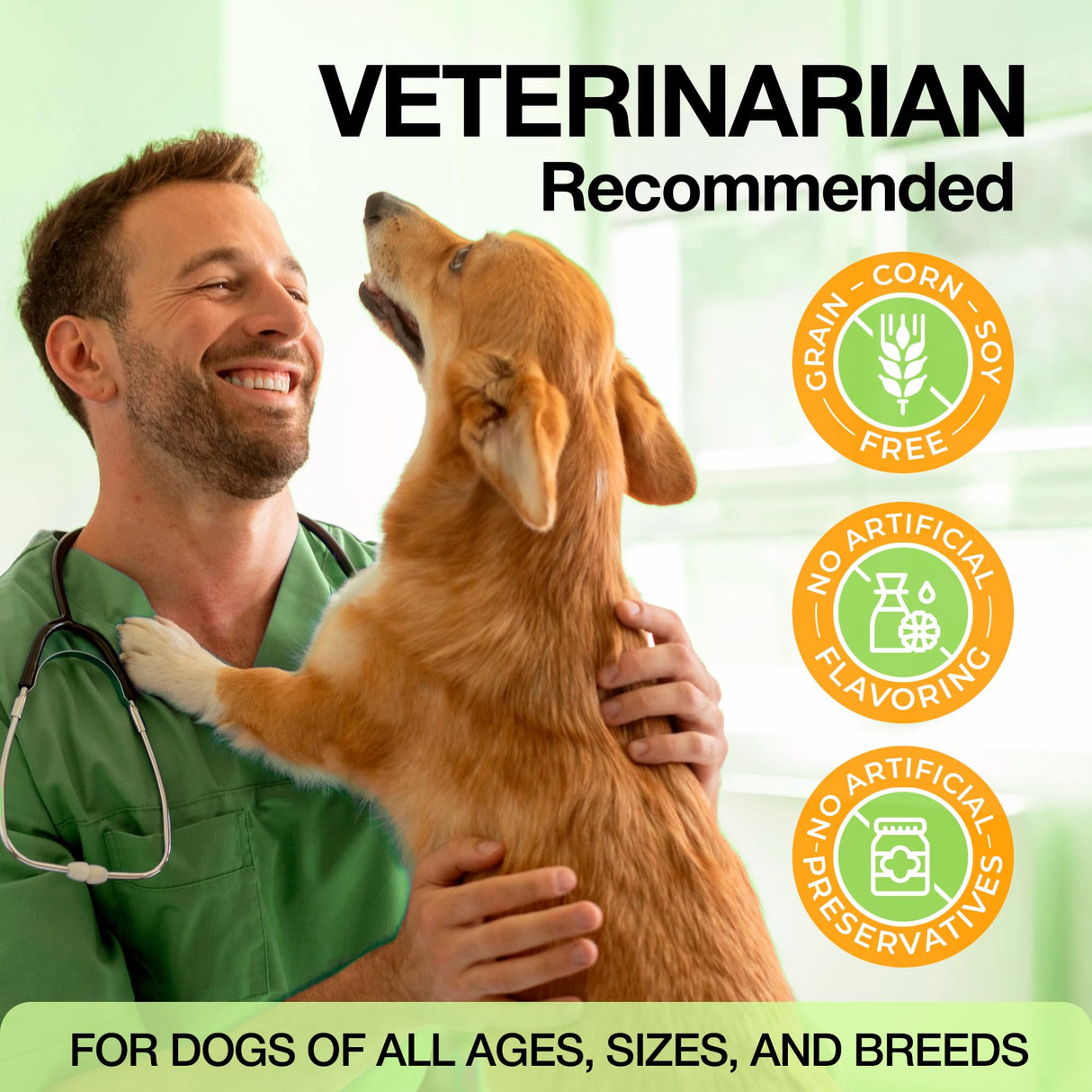 Glucosamine & Chondroitin for Dogs – Hip and Joint Supplement Chews with MSM, Vitamin C, Turmeric, Omega-3 for All Breeds – Pain & Mobility Support – 2-Month Supply – Chicken Flavor