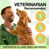 Glucosamine & Chondroitin for Dogs – Hip and Joint Supplement Chews with MSM, Vitamin C, Turmeric, Omega-3 for All Breeds – Pain & Mobility Support – 2-Month Supply – Chicken Flavor
