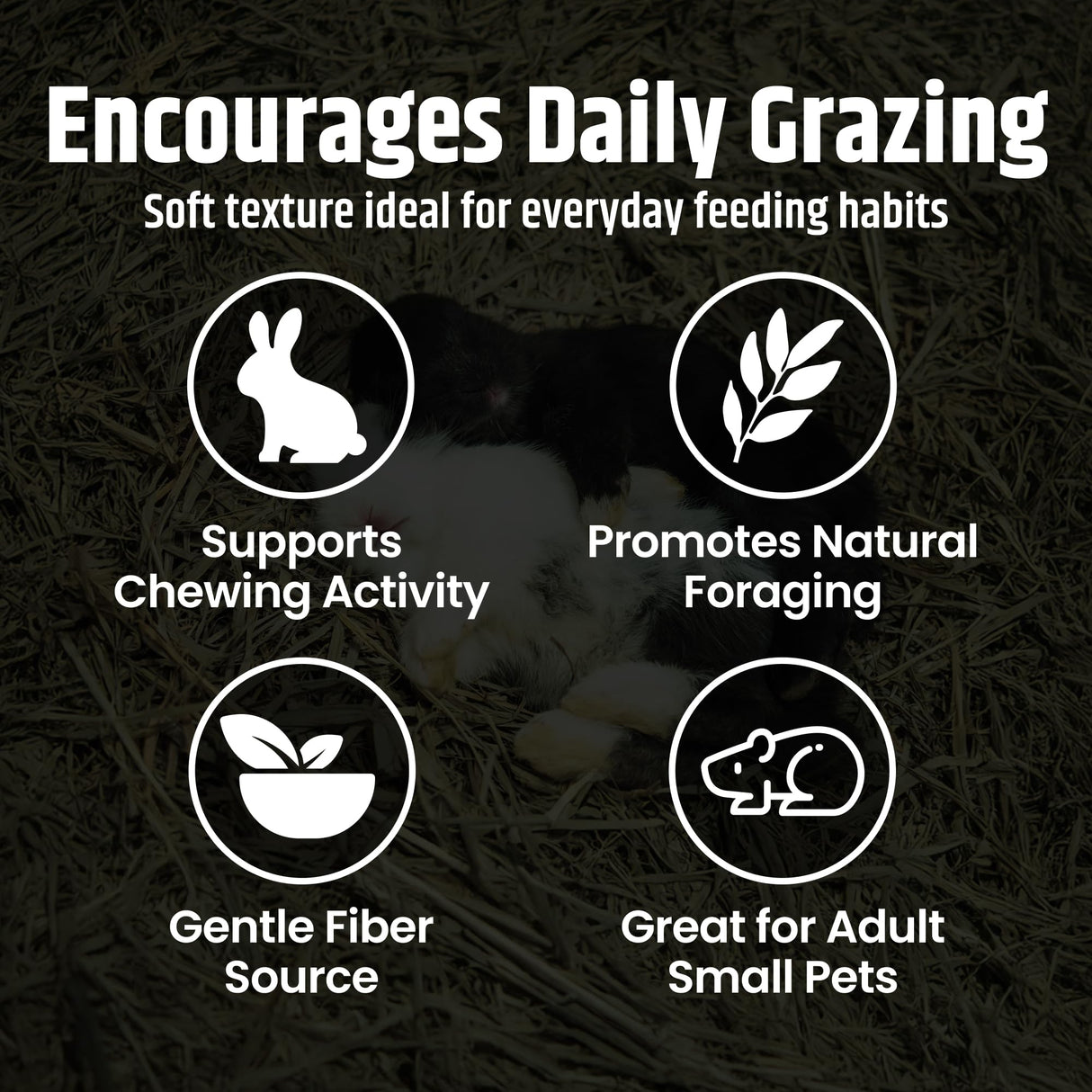 High Desert Orchard Grass Hay, Natural Orchard Hay for Rabbits Guinea Pigs Hamsters and Chinchillas, Soft Leaf Texture for Grazing and Foraging, Small Pet Supplies, Fresh Hand Packed Hay Box, 4 Lb