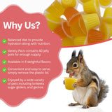 Snout and Shell Pet Jelly Pods Variety Pack - Nutritious Jelly Fruit Nectar Treats for Geckos, Sugar Gliders, Birds, Small Pets - Real Fruit Juice - 40 Cups