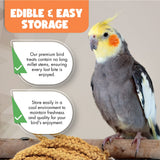 Vivlly 5LBS GMO-Free Sun Dried Spray Millet - Original Bird Treat Millet for Parakeets, Cockatiels, Finches & More - Non-GMO, High in Amino Acids, Easy Storage, Tasty & Healthy Bird Snacks (5 lbs)