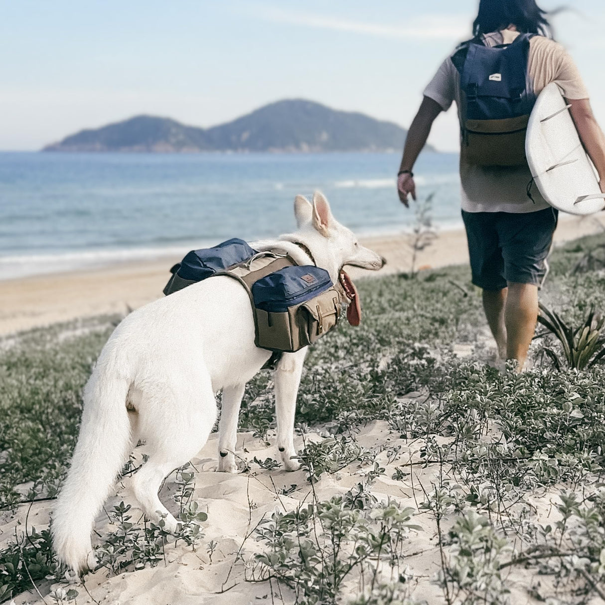 HOWLIDAYS CO. Dog Hiking Backpack Harness for Medium & Large Dogs – Durable Saddle Bag with Handle, Large Storage Compartments & Adjustable Fit for Outdoor Adventures, Camping & Day Trips (L)