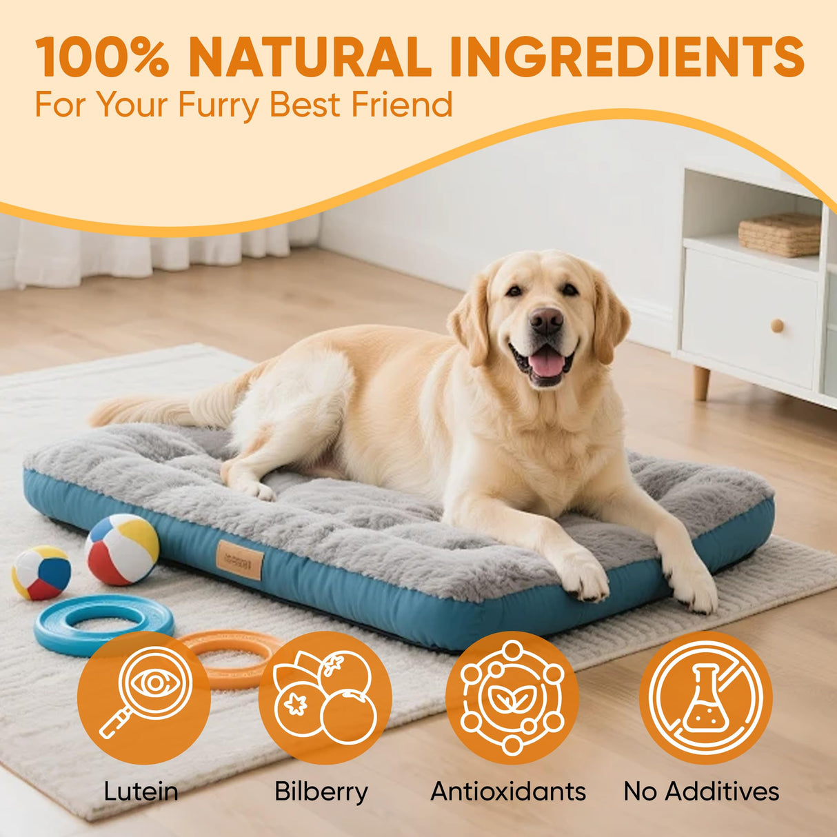 Aura Pets Advanced Vision Formula for Dogs, with Zeaxanthin, Astaxanthin, Lutein, Supports Vision and Overall Eye Health, Clears Debris, Reduces Cloudiness, 30ml (1)
