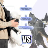 YUDODO Front Pet Carrier Backpack for Small Dogs and Cats, Secure and Breathable Mesh Travel Dog Carrier with Safety Belt, Ergonomic Support, Adjustable for Walking, Hiking (Black-Pro M)