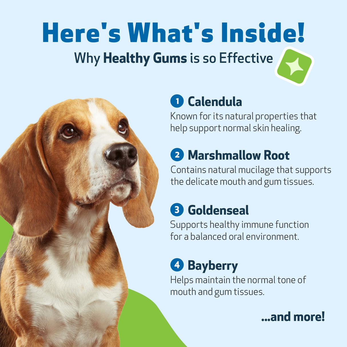Pet Wellbeing - Healthy Gums for Dogs - Natural Supplement for Healthy Gums, Teeth and Breath Against Dog Gingivitis - 2oz (59ml).