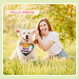Bulyoou 500 Pcs Summer/Spring Dog Bandanas Bulk Adjustable Dog Bandanas for Groomers Hawaiian Washable Pets Scarf Bibs Costume Accessories for Small to Large Pets Grooming Supplies(Spring)