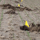 Cinch Mole Trap + Tunnel Marking Flags (Medium) - Precision-Engineered Mole Traps That Kill Best for Effective Mole Elimination in Lawns