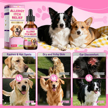 Load image into Gallery viewer, Wagmee Allergy Relief Drops for Dogs, Dog Itchy Skin Relief with Fish Oil, Omega-3, Turmeric &amp; Natural Anti Itch for Dogs Ears &amp; Paw Relief - Dog Seasonal Allergies, Skin &amp; Coat Immune Supplement
