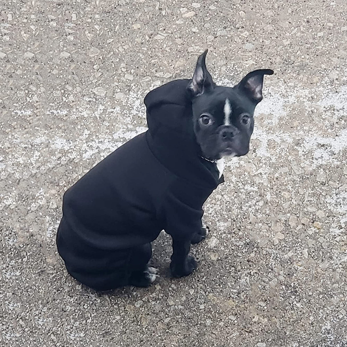 LifeWheel Hoodie, Pet Jumpsuit Fleece Sweatshirt Buttons, Clothes, LifeWheel Cold Weather Coats, Pajamas, Winter Warm Cotton Puppy Hoodie 4 Legs Small Medium Large Dogs Cats Boy Girl Black + Pink