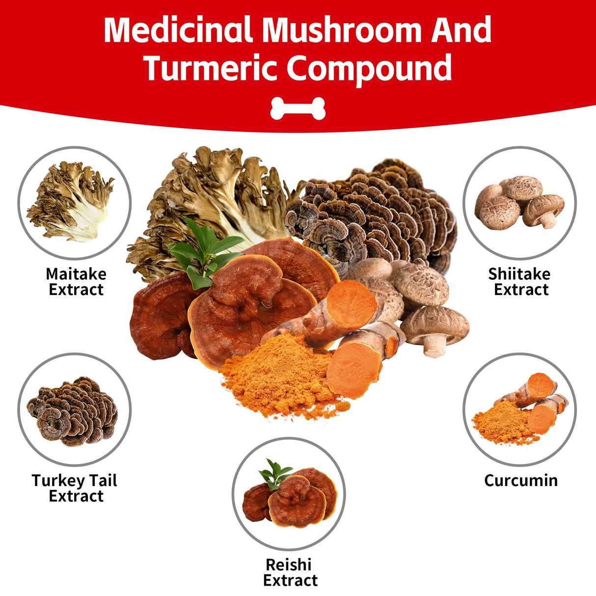 Turkey Tail Mushroom for Dog, Canine Cancer Relief, Buddy Lumps and Bumps & Normal Cell Growth Guard, Reishi, Shiitake, Maitake, Turmeric Root