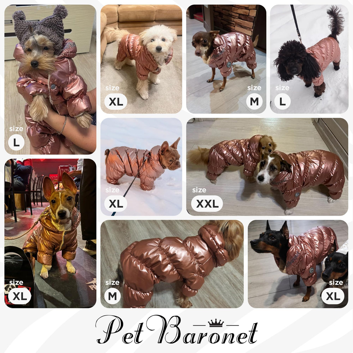 PETBARONET Winter Coat for Female Pups With Full Belly Coverage, Girl Clothes, Snow Jacket, Snowsuit for Cold Weather, Ideal for Small Medium Dogs (Medium)