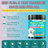 Woyamay Flea + Coat Glow Soft Chews, Natural Flea and Tick Prevention for Dogs, Dog Flea and Tick Treatment Chewable, Reduces Itch & Shedding with Fish Oil & Neem, Chicken Flavor