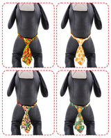 PET SHOW 30 Pack Fall Small Dog Ties Neckties for Doggies Cats Pumpkin Maple Leaf Adjustable Collar Neck Ties Girl Boy Pets Autumn Costumes Puppy Holiday Grooming Accessories Party Gift Favor