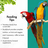 RoudyBush Daily Maintenance Bird Food, Mini, 10-Pound
