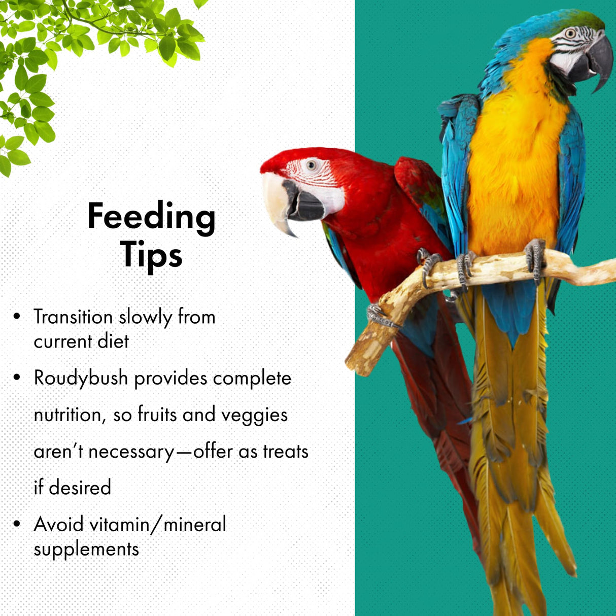RoudyBush California Blend Bird Food, Mini, 10-Pound (210MICB), B113