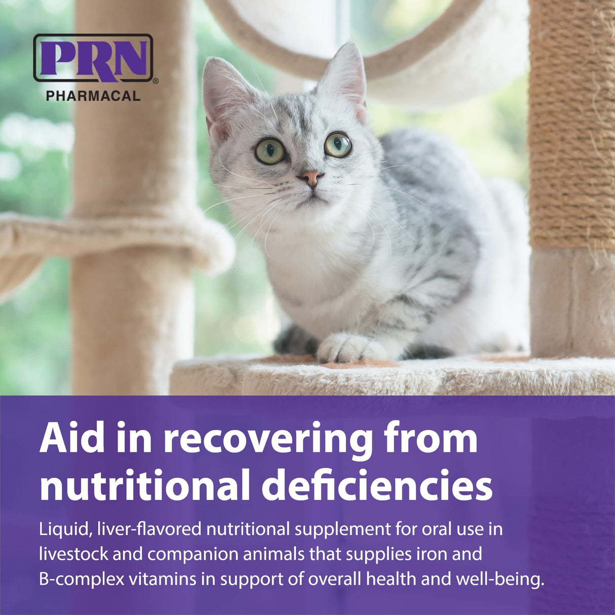 PRN Pharmacal Liqui-Tinic 4X - Iron & Vitamins Oral Nutritional Supplement for Pets- Liver-Flavored Supplement with Iron & B-Complex Vitamins to Support Wellness - 2 fl oz (3 Pack)
