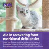 PRN Pharmacal Liqui-Tinic 4X - Iron & Vitamins Oral Nutritional Supplement for Pets- Liver-Flavored Supplement with Iron & B-Complex Vitamins to Support Wellness - 2 fl oz (3 Pack)
