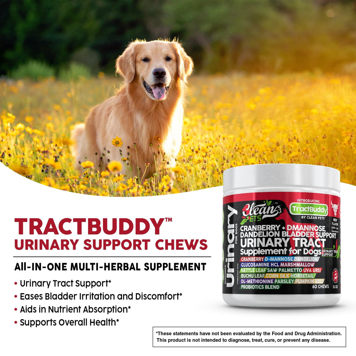 Clean Pets Cranberry for Dogs Urinary Tract Support | D-Mannose UTI Bladder Stones Dandelion Glucosamine HCL Marshmallow Nettle Leaf Saw Palmetto Uva Ursi Buchu Horsetail Methionine Parsley Supplement