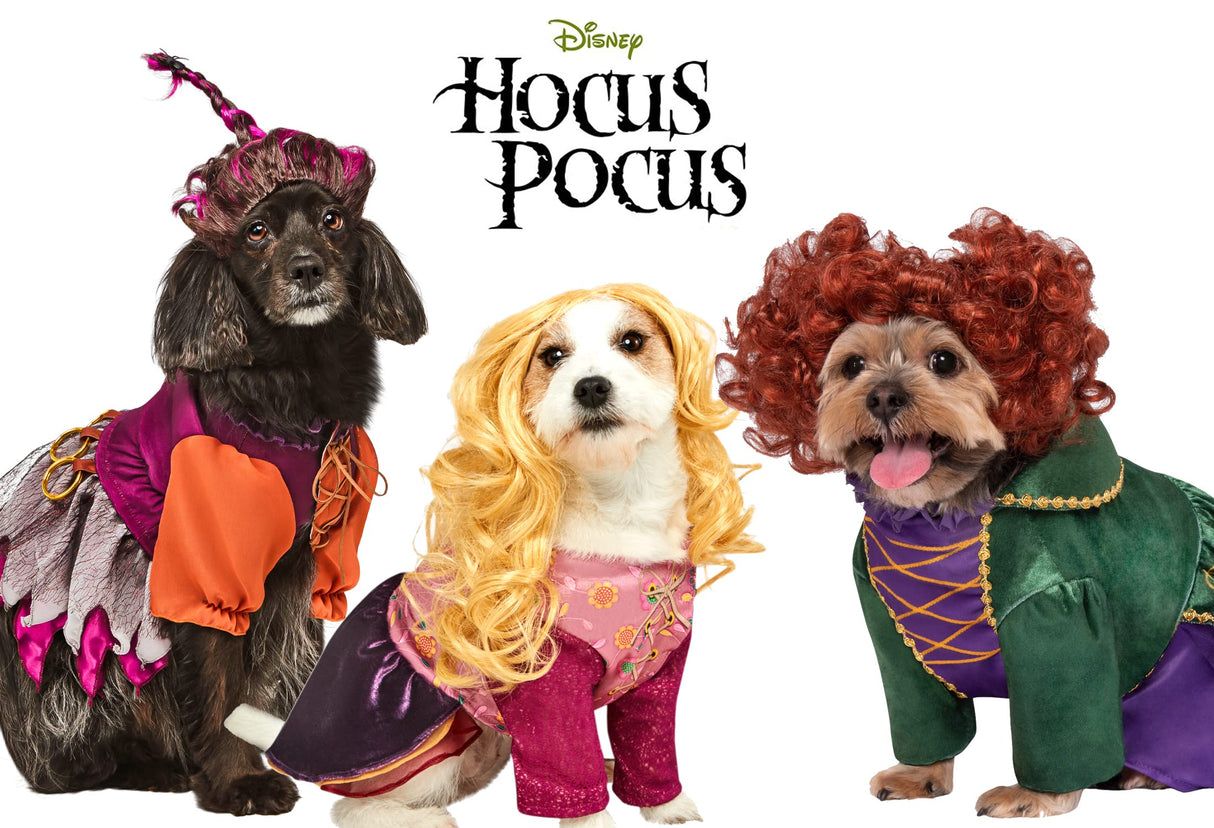 Rubies Disney Hocus Pocus: Winifred Sanderson Pet Costume for For Dogs or Cats, Large