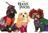 Rubies Disney Hocus Pocus: Winifred Sanderson Pet Costume for For Dogs or Cats, Large