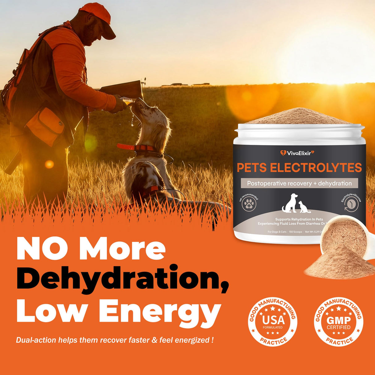 Electrolytes for Dogs – Vet-Formulated Hydration Supplement– Supports Post-Surgery & Illness Recovery– Helps Replenish Fluids & Electrolytes Lost from Diarrhea, Vomiting & Poor Appetite