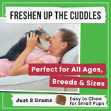 Pawsential No Poo Chews for Dogs - Coprophagia & Stool Eating Deterrent with Probiotics, Digestive Enzymes & Breath Aid Support - Stop Dog Poop Eating - Made in USA - 120 Soft Chews