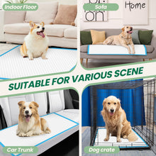 Load image into Gallery viewer, 100 Count Large Dog &amp; Cat Puppy Pee Pads - 28"x30" Absorbent Potty Training Pads | Leakproof Quick-Dry Disposable Pet Pads for Puppies, Dogs &amp; Cats | Indoor, Outdoor, Litter Box, Housebreaking Use
