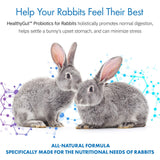 Equa Holistics HealthyGut Probiotics for Rabbits Dietary Supplement, All-Natural Digestive System Formula (120 Servings)
