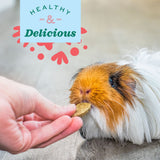 Oxbow Animal Health Natural Science Vitamin C Supplement, Vitamin C for Guinea Pig, Made with Oxbow Timothy Hay, Pet Supplements for Guinea Pigs, Veterinarian Formula, Made in USA, 8.4 oz