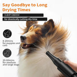 keqi 2800w 75m/s Pet Dryer Stepless Adjustable Speed Temperature Dogs Grooming Blow Dryer with Heater for Pets Hair Dryer