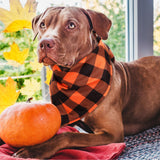 Sweetude 200 Pieces Fall Dog Bandanas Bulk Thanksgiving Day Bandanas for Dogs, Pumpkin Maple Leaves Pattern Pet Triangle Scarf Puppy Dog Kerchief Bibs for Autumn Holiday Costume Accessories Decoration