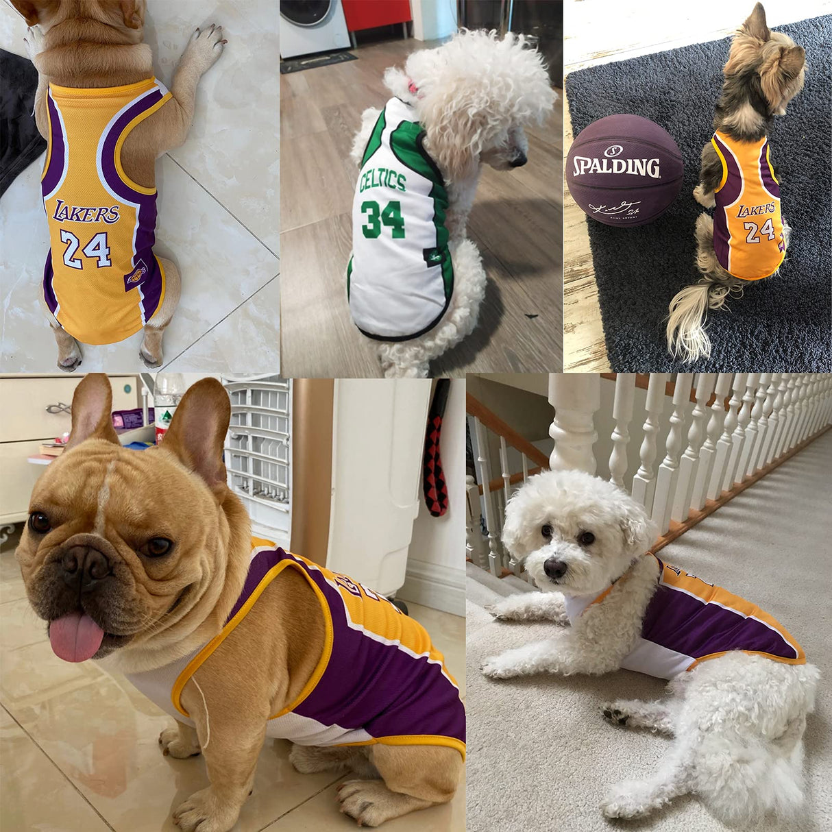 3Pack Dog Clothes for Small Dog Girl Puppy Clothes for Chihuahua Yorkies Bulldog Clothes for Medium Dogs Boy Basketball Jersey Pet Outfits Shirt Apparel Accessories,M