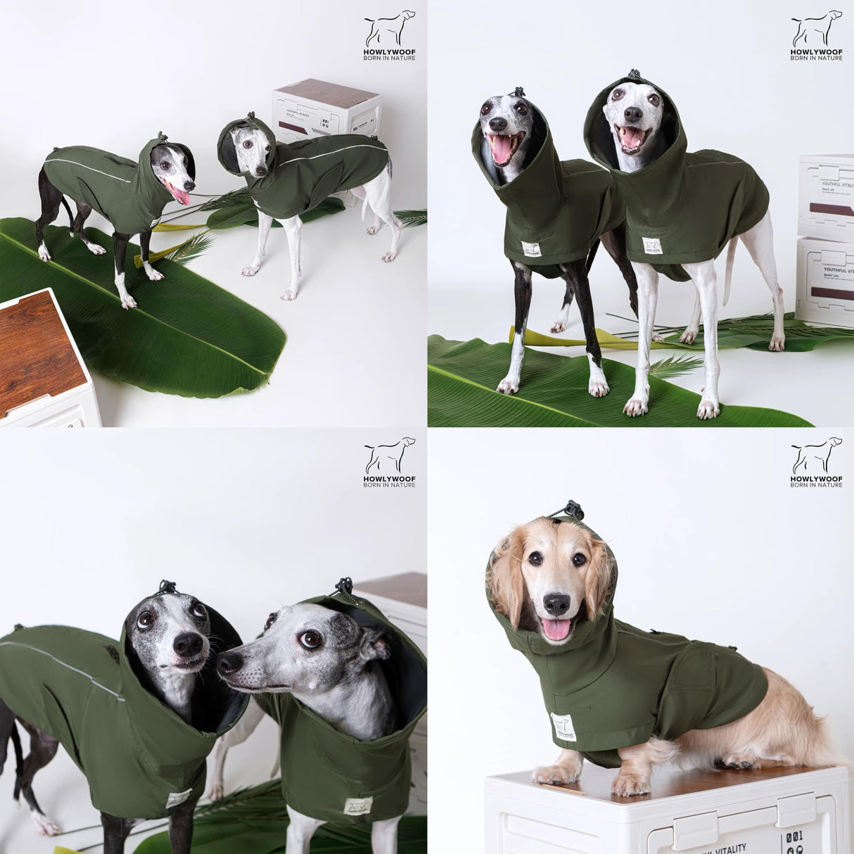 HowlyWoof Waterproof Dog Raincoat, Hooded Raincoat for Dachshund Whippet Small Medium Large Dogs, Adjustable Dog Rain Coat Jacket (05(chest21-23'', back17-19.5''))
