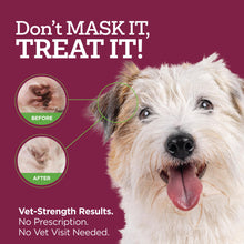 Load image into Gallery viewer, Vetality Medicated Otic Drops for Dog Ear Infection Treatment, 2 fl oz
