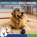 Healers Anti-Slip Dog Boots-Medical Paw Protection for Large Breeds, Traction Booties for Slippery Floors (Single Boot, 3.5" Paw Width, 90+ lbs), XL