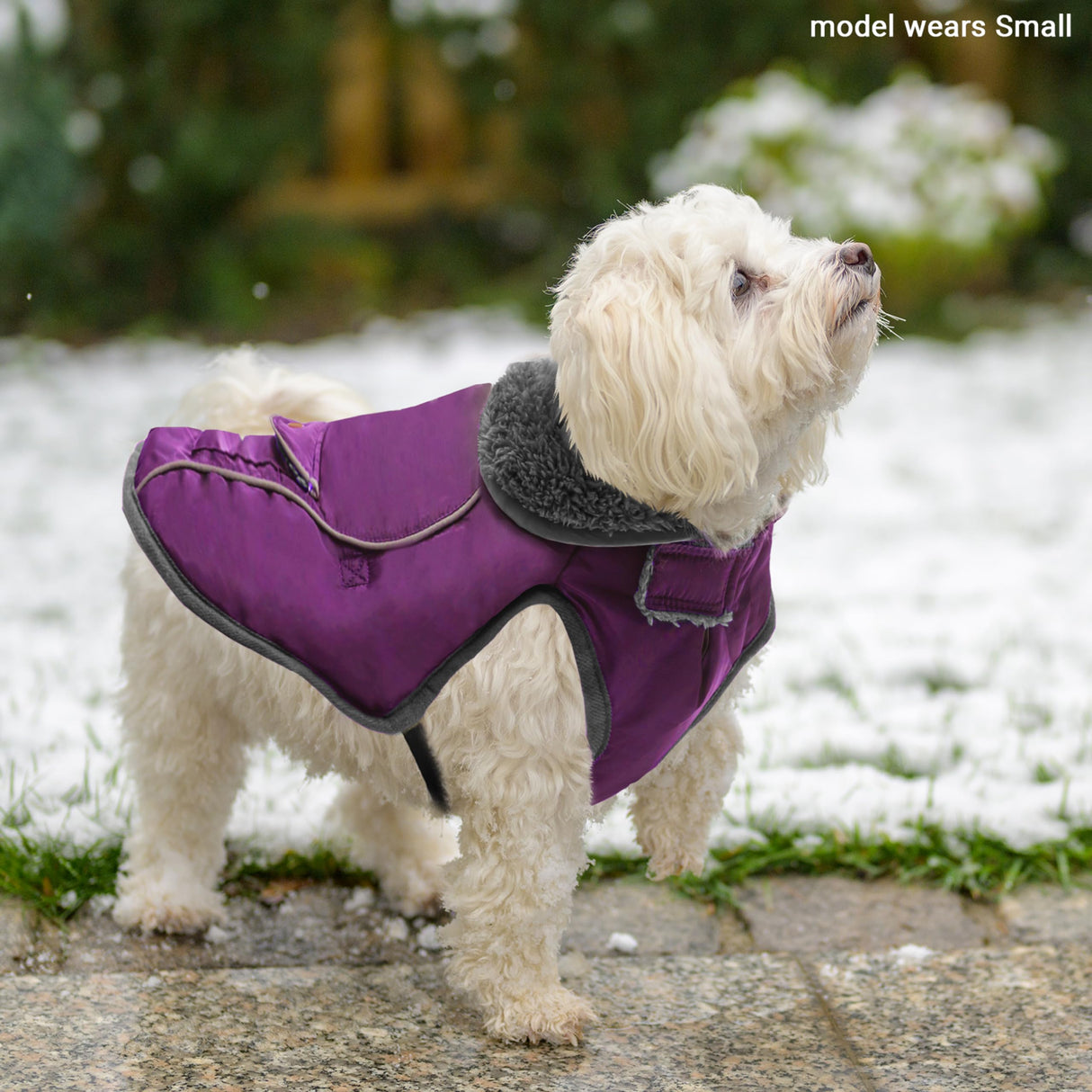 MOTZABO Dog Winter Coat - Warm Dog Clothes for Rain Snow Wind Cold Weather - Reflective Purple Adjustable Windproof Pet Vest Jacket with Leash Hole for Small Medium Large Dogs Indoor Outdoor
