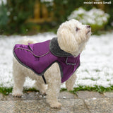 MOTZABO Dog Winter Coat - Warm Dog Clothes for Rain Snow Wind Cold Weather - Reflective Purple Adjustable Windproof Pet Vest Jacket with Leash Hole for Small Medium Large Dogs Indoor Outdoor