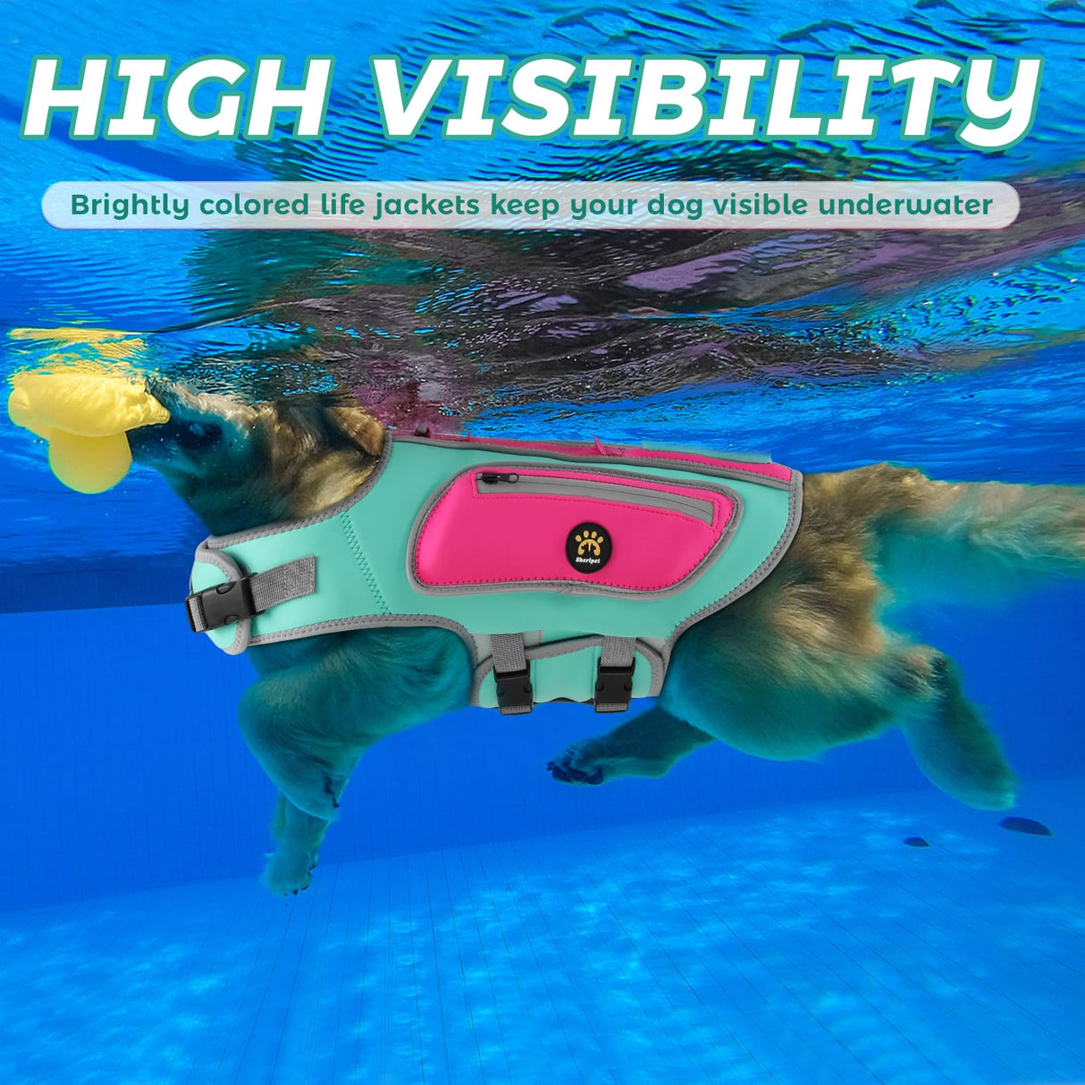 Sheripet Dog Life Jacket, High Buoyancy Shark Dog Safety Vest, Neoprene Pet Life Preserver with Good Visibility & Reflective, Puppy Swim Floating Vest with Rescue Handle for Boating (Turquoise, Small)