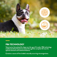 Load image into Gallery viewer, NaturVet Advanced Probiotics &amp; Enzymes, PB6 Dog Soft Chews to Help Sensitive Stomachs and Digestive Issues, Hickory Smoked Bacon Flavored Pet Supplement for Dogs Over 6 Weeks, 70 Count Jar
