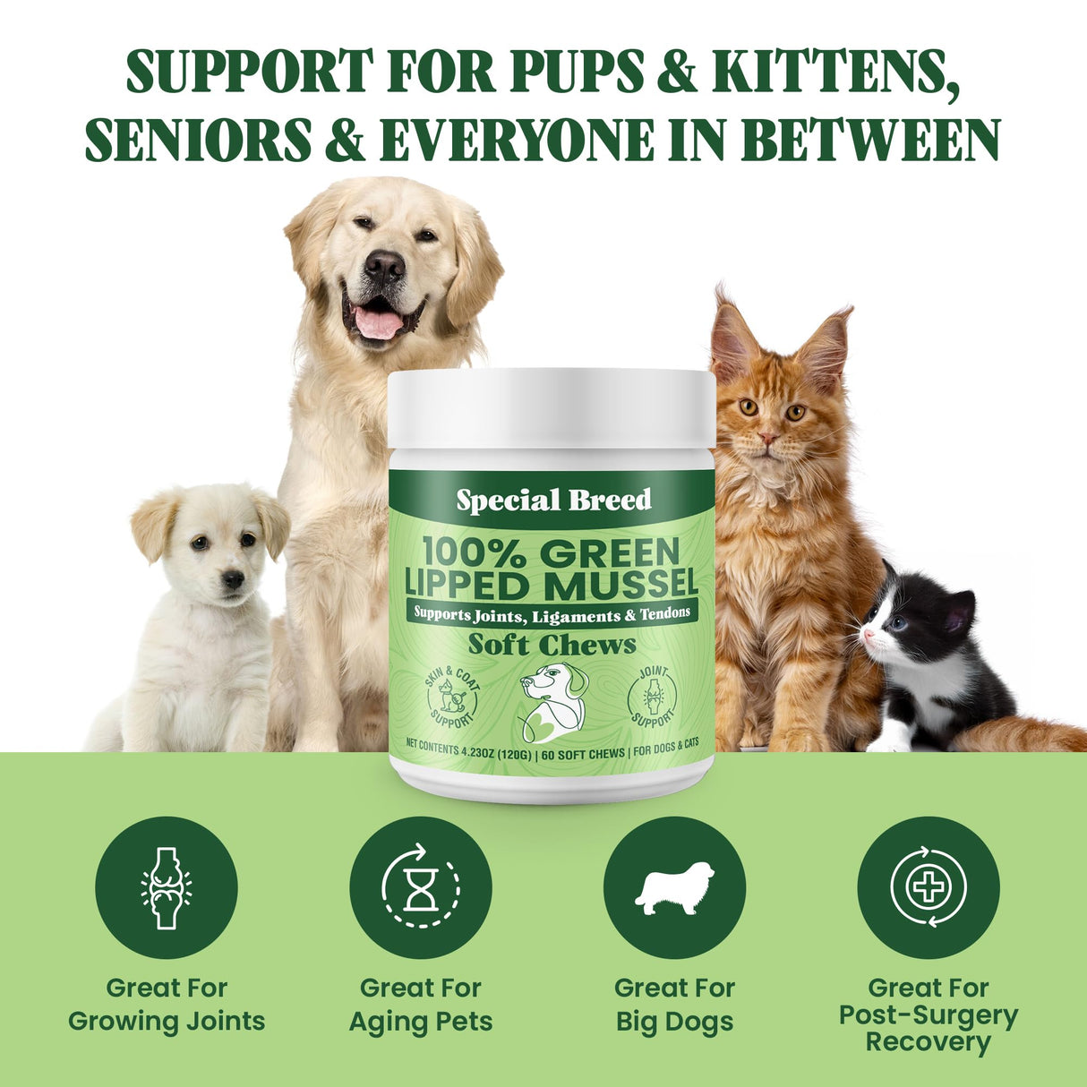 Green Lipped Mussel for Dogs & Cats - 60 Soft Chews - New Zealand Green Lipped Mussels - Natural Hip & Joint Supplement for Joints, Tendons, Ligaments, Muscles