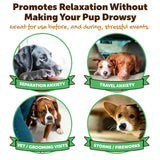 Riley's Calming Peanut Butter for Dogs - Dog-Safe Peanut Butter Calming Aid - Separation Anxiety Relief for Dogs - 8.46 oz