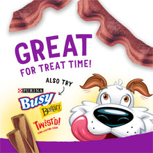 Load image into Gallery viewer, Purina Beggin' Strips With Real Meat Dog Treats With Bacon and Beef Flavors - (Pack of 2) 26 oz. Pouches
