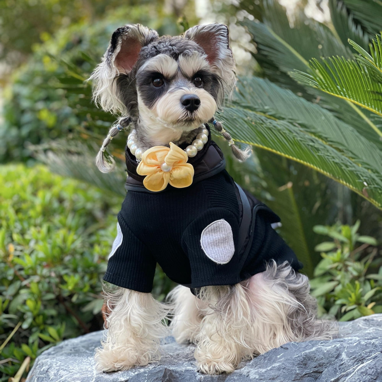 Elegant Pearl Flower Dog Necklace – Adjustable & Stylish for Weddings, Birthdays, and Parties (Yellow, L（18.5-20.5 inches）)