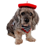 French Beret & Scarf Pet Costume - Two Piece Beret & Scarf Set - Dog & Cat Costume - One Size
