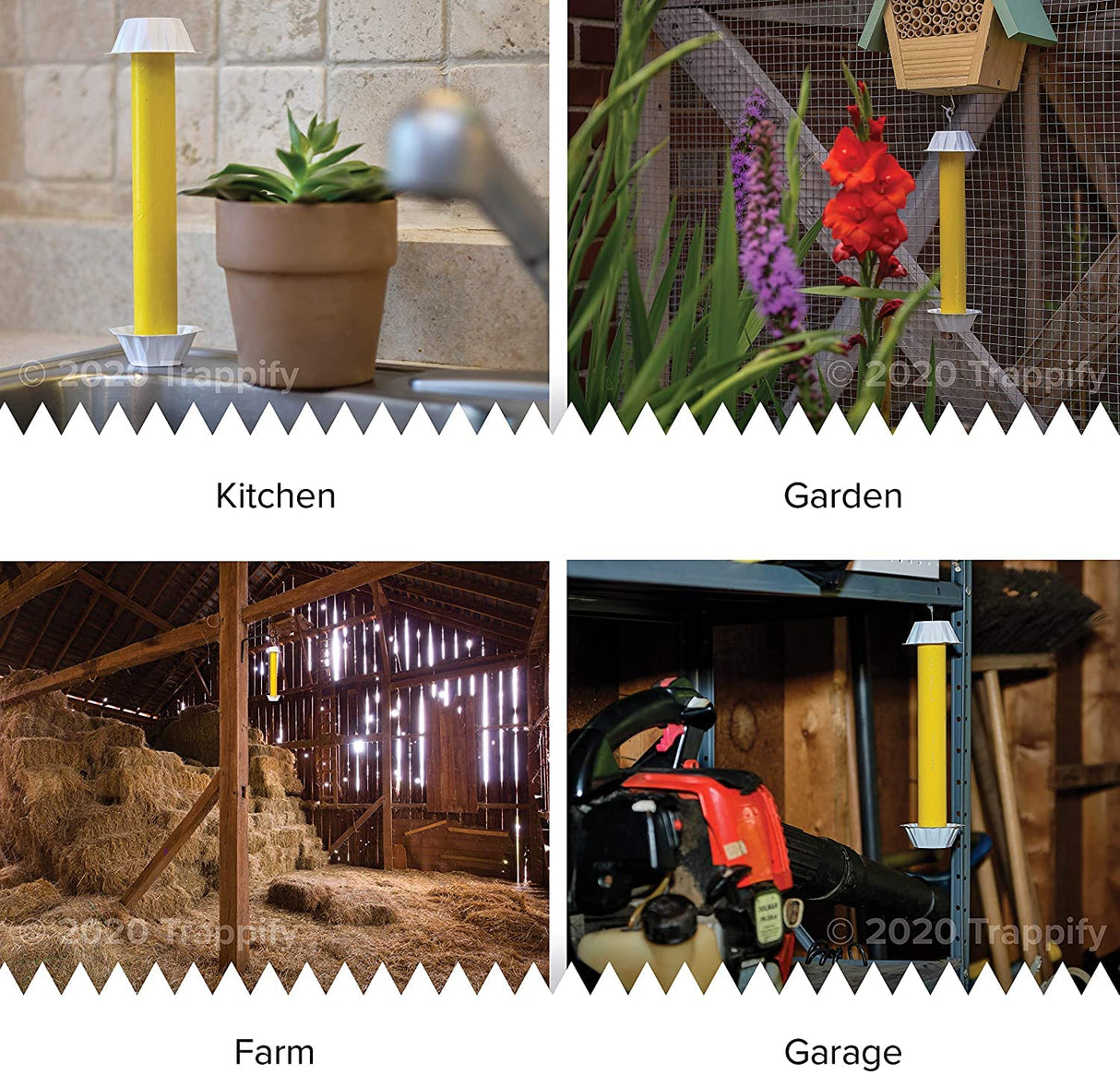 Trappify Hanging Fly Traps Outdoor: Fruit Fly Traps for Indoors | Fly Catcher, Gnat, Mosquito, & Flying Insect Catchers for Inside Home - Disposable Sticky Fly Trap for Indoor House Pest Control
